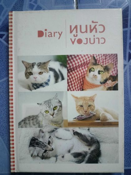 บ้านและที่อยู่อาศัย ไดอารี่ ทูนหัวของบ่าว