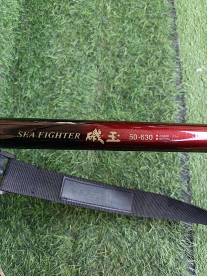 สวิงตักปลา  รูปที่ 3