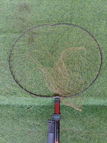 สวิงตักปลา  รูปที่ 2