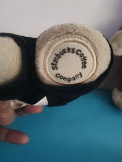 หมีสตาร์บัค รูปที่ 5