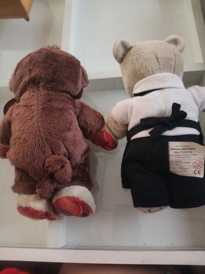 หมีสตาร์บัค รูปที่ 9