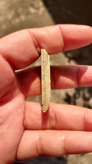 พระสมเด็จ รูปที่ 4