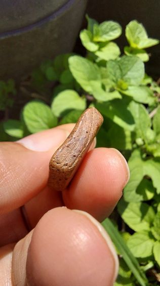 พระซุ้มกอ รูปที่ 7