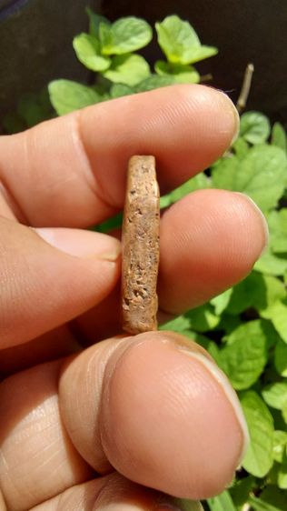 พระซุ้มกอ รูปที่ 5