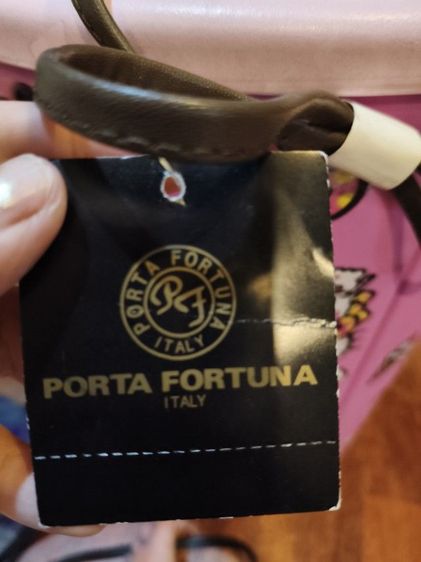 ดระเป๋าลายเสือ รูปที่ 2