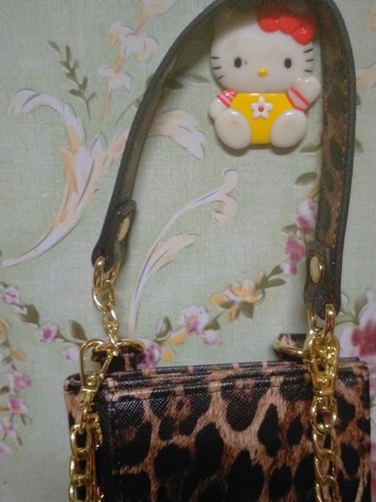 ดระเป๋าลายเสือ รูปที่ 7