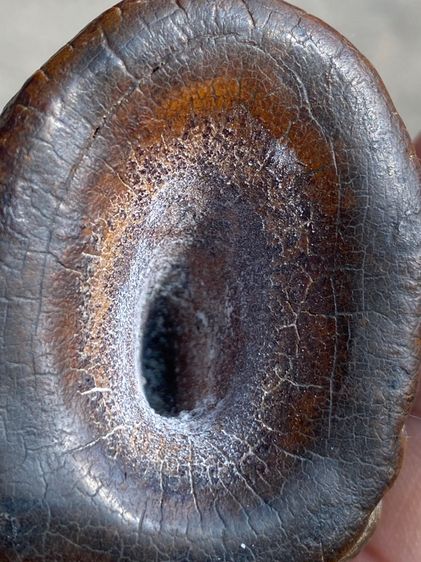 พระเชียงรุ้ง รูปที่ 16