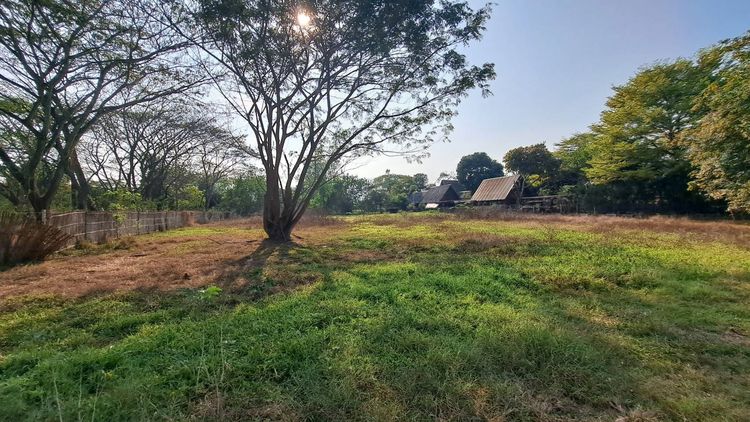 ที่ดินบ้านป่าขาม สันทราย แม่โจ้ เชียงใหม่ 2 ไร่ 9 ตารางวา รูปที่ 4