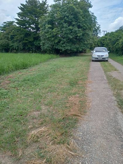 ที่ดินบ้านป่าขาม สันทราย แม่โจ้ เชียงใหม่ 2 ไร่ 9 ตารางวา