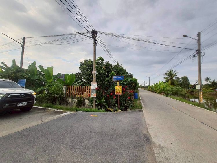 ขายด่วนที่ดินคลองห้า 200 ตรว ติดถนนคอนกรีตสาธารณะ ซ.คลองห้าตะวันตก57 อ.คลองหลวง จ.ปทุมธานี รูปที่ 2