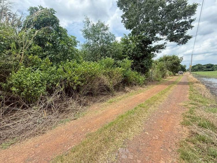 ขายด่วนที่ดินถมแล้ว 200 ตรว ถมแล้วทั้งแปลง สูงกว่าถนน ซ.คลองห้าตะวันตก 19 อ.คลองหลวง จ.ปทุมธานี   รูปที่ 4