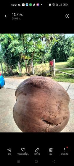 พื้นที่ปลูกบ้าน