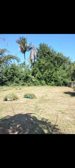 ใช่ พื้นที่ปลูกบ้าน รูปที่ 2