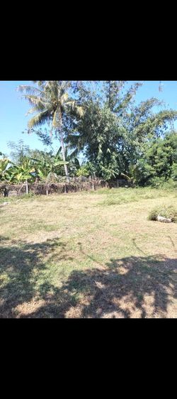 ใช่ พื้นที่ปลูกบ้าน รูปที่ 4