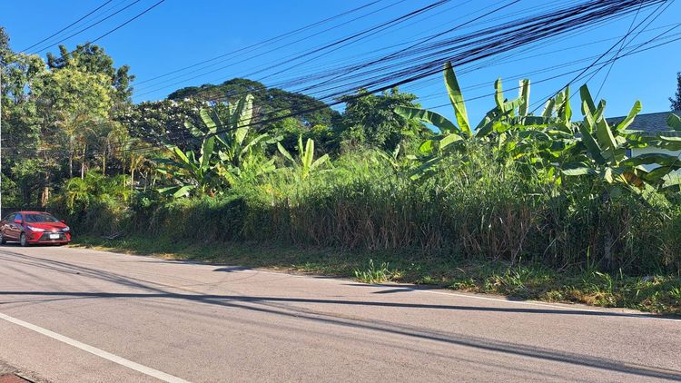 ที่ดินทำเลทอง ย่านเจ็ดยอด กลางเมืองเชียงใหม่ น้ำไม่ท่วม 304 ตารางวา รูปที่ 4