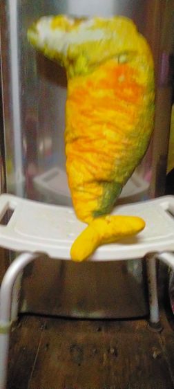 หมอนปลาทูเซต รูปที่ 3