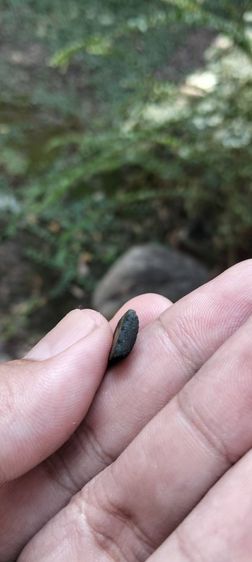 พระวัดสุทัศน์ รูปที่ 7