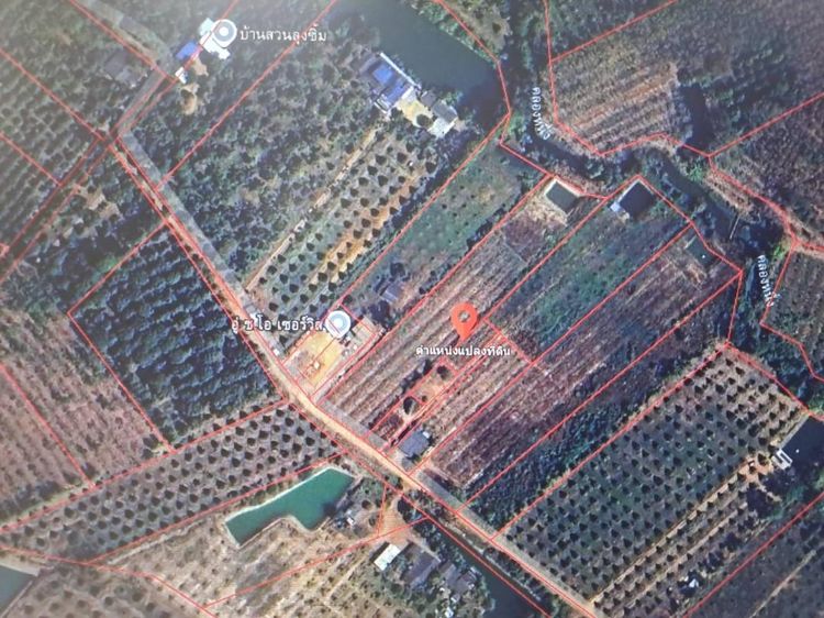 ขายที่ดิน107ตรว.อำเภอวังจันทร์ จังหวัดระยอง รูปที่ 4