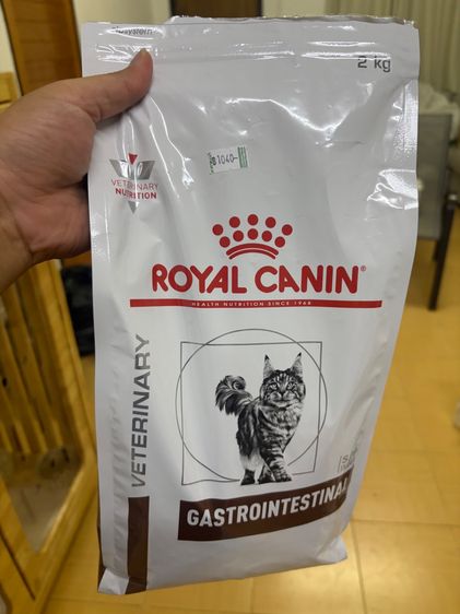 แมว เอ๊กโซติก สีขาว เพศผู้ 3 ขวบ รูปที่ 4