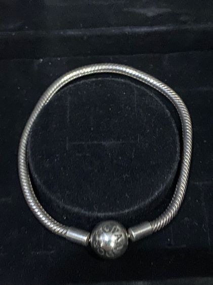 charm pandora รูปที่ 13