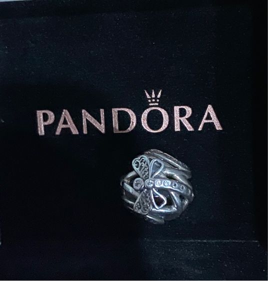 charm pandora รูปที่ 8