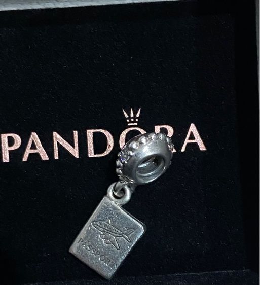 charm pandora รูปที่ 9