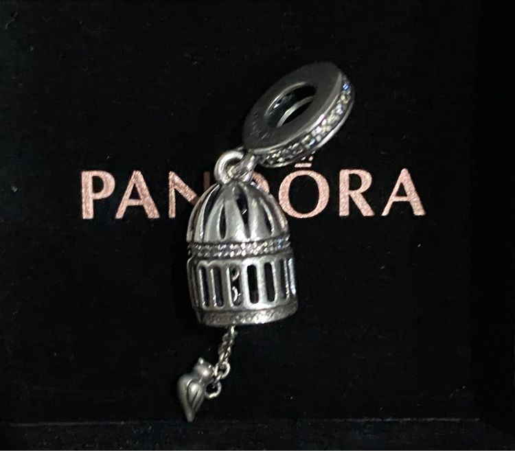 charm pandora รูปที่ 11