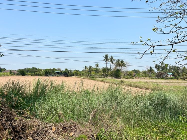 ใช่ ที่ดิน 5ไร่ ติดถนน รูปที่ 3