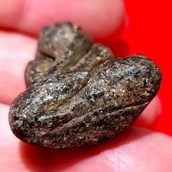 พระปิดตา หลังยันต์ รูปที่ 3