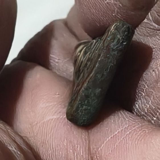 เหรียญหล่อหลวงพ่อเพชรวัดท่าหลวงจังหวัดพิจิตรเนื้อหาจัดจ้าน รูปที่ 3