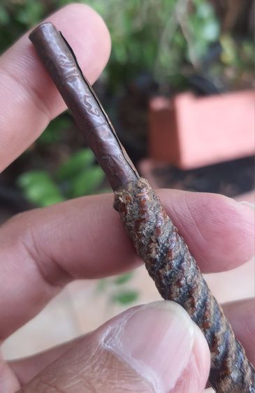 ตะกรุด หลวงปู่เอี่ยมวัดหนัง  ยาว 3.5นิ้ว รูปที่ 4