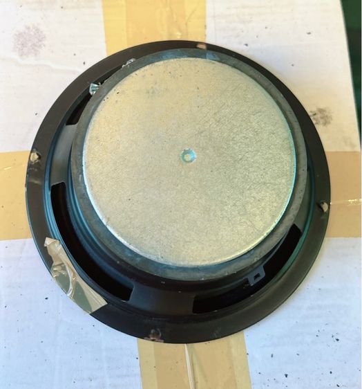 ขายดอกลำโพง รูปที่ 15