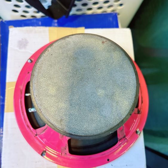 ขายดอกลำโพง รูปที่ 14