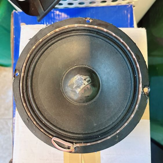 ขายดอกลำโพง