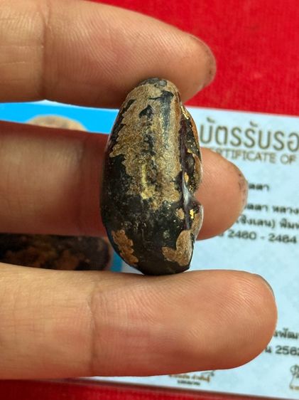 พระปิดตาหลวงปู่ไข่วัดเชิงเลนเนื้อผงกะลาขรักปิดทองพร้อมบัตรรับรองพระแท้ รูปที่ 6