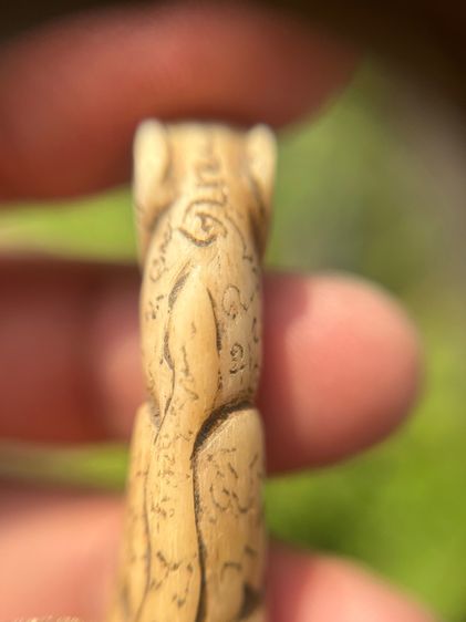 เปิดเสือ(มีสินค้าหลายรายการกดเข้ามาดูในโปรไฟล์ได้เลยครับ) รูปที่ 5