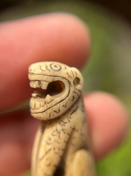 เปิดเสือ(มีสินค้าหลายรายการกดเข้ามาดูในโปรไฟล์ได้เลยครับ)