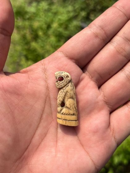 เปิดเสือ(มีสินค้าหลายรายการกดเข้ามาดูในโปรไฟล์ได้เลยครับ) รูปที่ 9