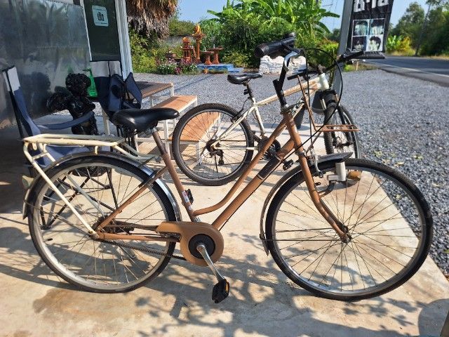 ขายจักรยาน บริดจ์สโตนBRIDGESTONEสายพาน