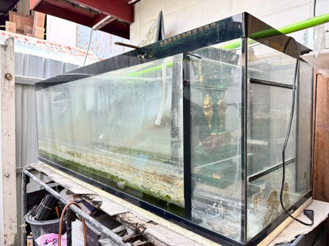 ตู้ปลาใหญ่ ยาว60นิ้ว กว้าง20นิ้ว ไม่รั่วไม่ซึม ไม่เคยซ่อม รูปที่ 4