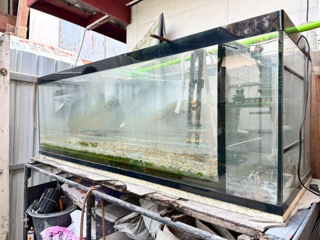 ตู้ปลาใหญ่ ยาว60นิ้ว กว้าง20นิ้ว ไม่รั่วไม่ซึม ไม่เคยซ่อม รูปที่ 2