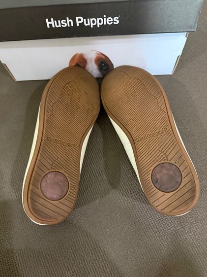 รองเท้า Hush Puppies รูปที่ 5