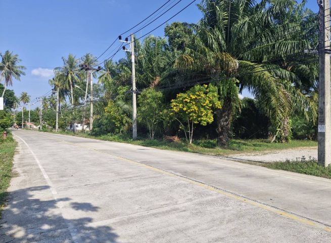 ใช่ ขายที่ดิน รูปที่ 2