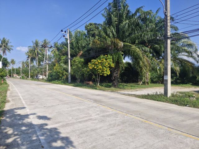 ใช่ ขายที่ดิน รูปที่ 3