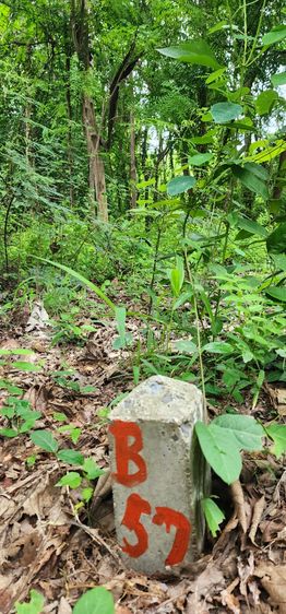 ที่ดินทุ่งดินดำรีสอร์ท อ.อู่ทอง จ.สุพรรณบุรี รูปที่ 2