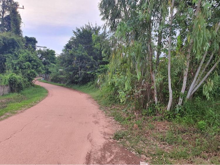 ใช่ ที่ดินว่างเปล่า รูปที่ 4