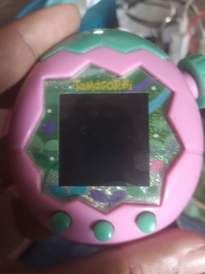 ทามากอตจิพาลาได่ รูปที่ 3