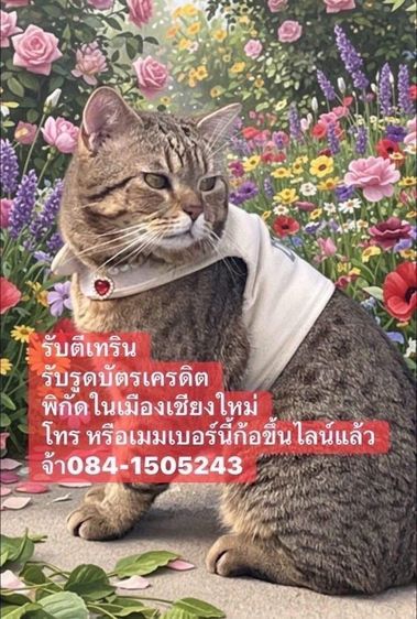 iphone17 pro max 512gb สาขาวิชา มือ1 new เครื่องไทย ประกันศูนย์เต็ม1ปี รับเงิน รับรูดบัตร รูปที่ 9