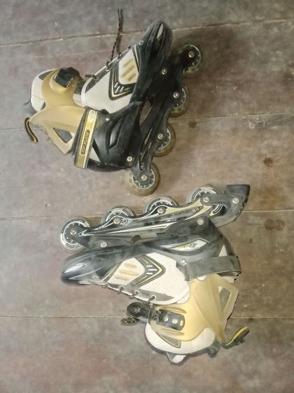 โรเลอเบลด รูปที่ 2