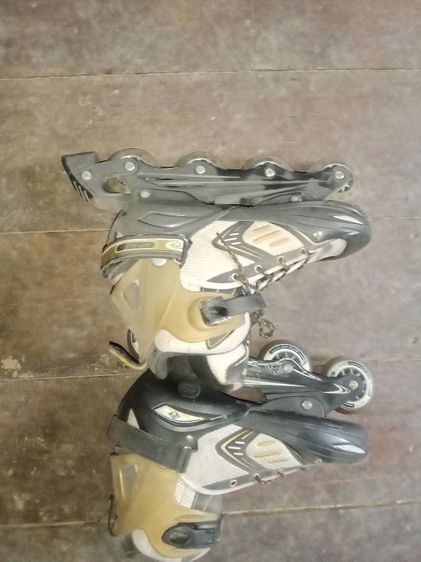 โรเลอเบลด